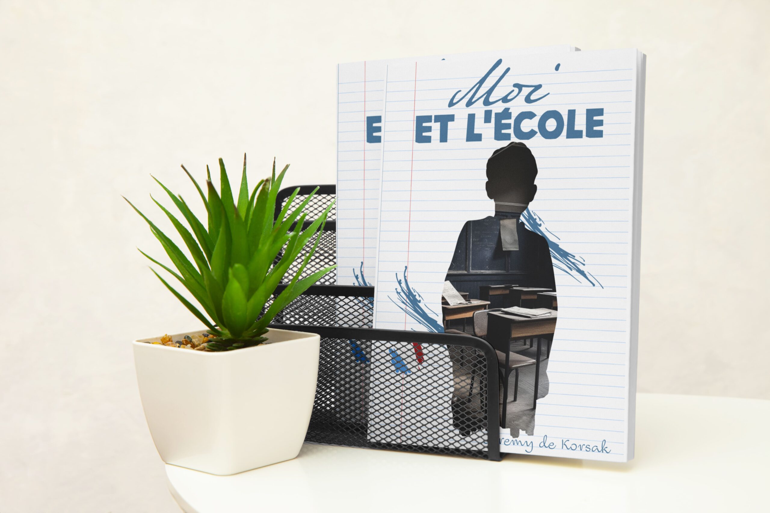 Moi et l'école