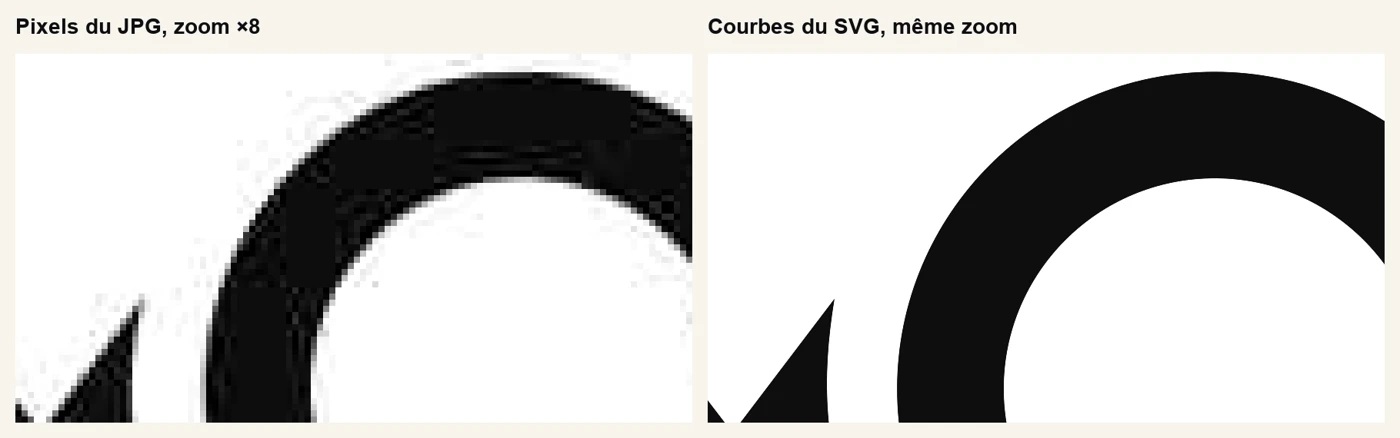 Zoom ×8 : les pixels et les artefacts du JPG à gauche, la courbe lisse du SVG à droite