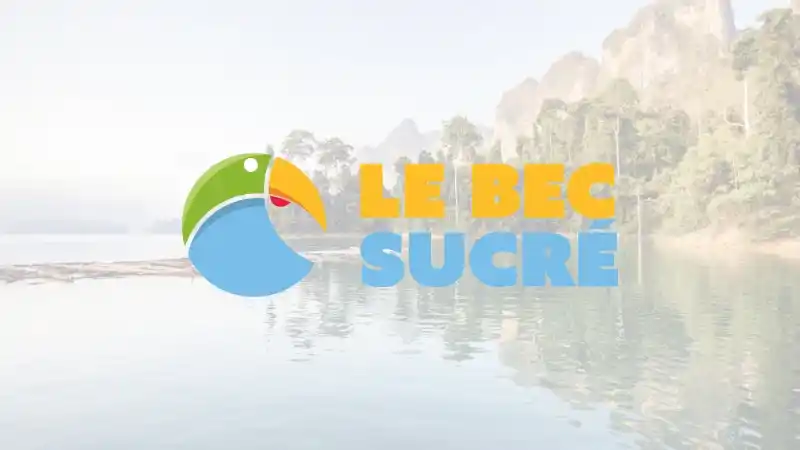 Création de logo pour Le Bec Sucré : mascotte oiseau exotique stylisée en toucan, palette verte, bleue, orange et rouge