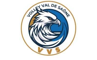 Création de logo : la symbolique de l’aigle