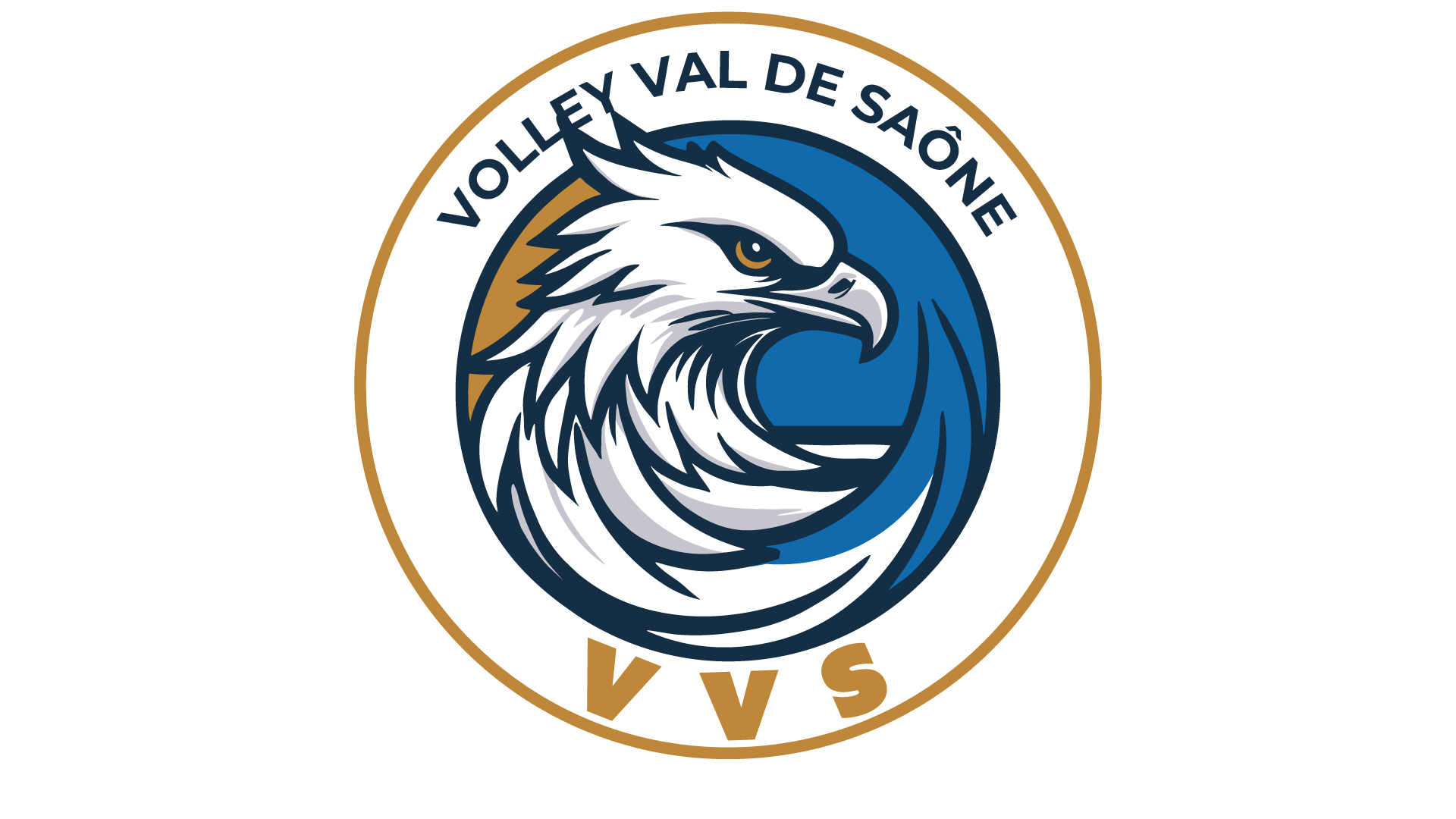 Logo Volleyball, Adobe Illustrator, création de logo professionnel ComeUp, logo pas cher, logo premium, mascotte, logotype, logo sur mesure, logo vector, vectorisation, création de logo, logo professionnel, mow-logo, ComeUp, ComeUp logo