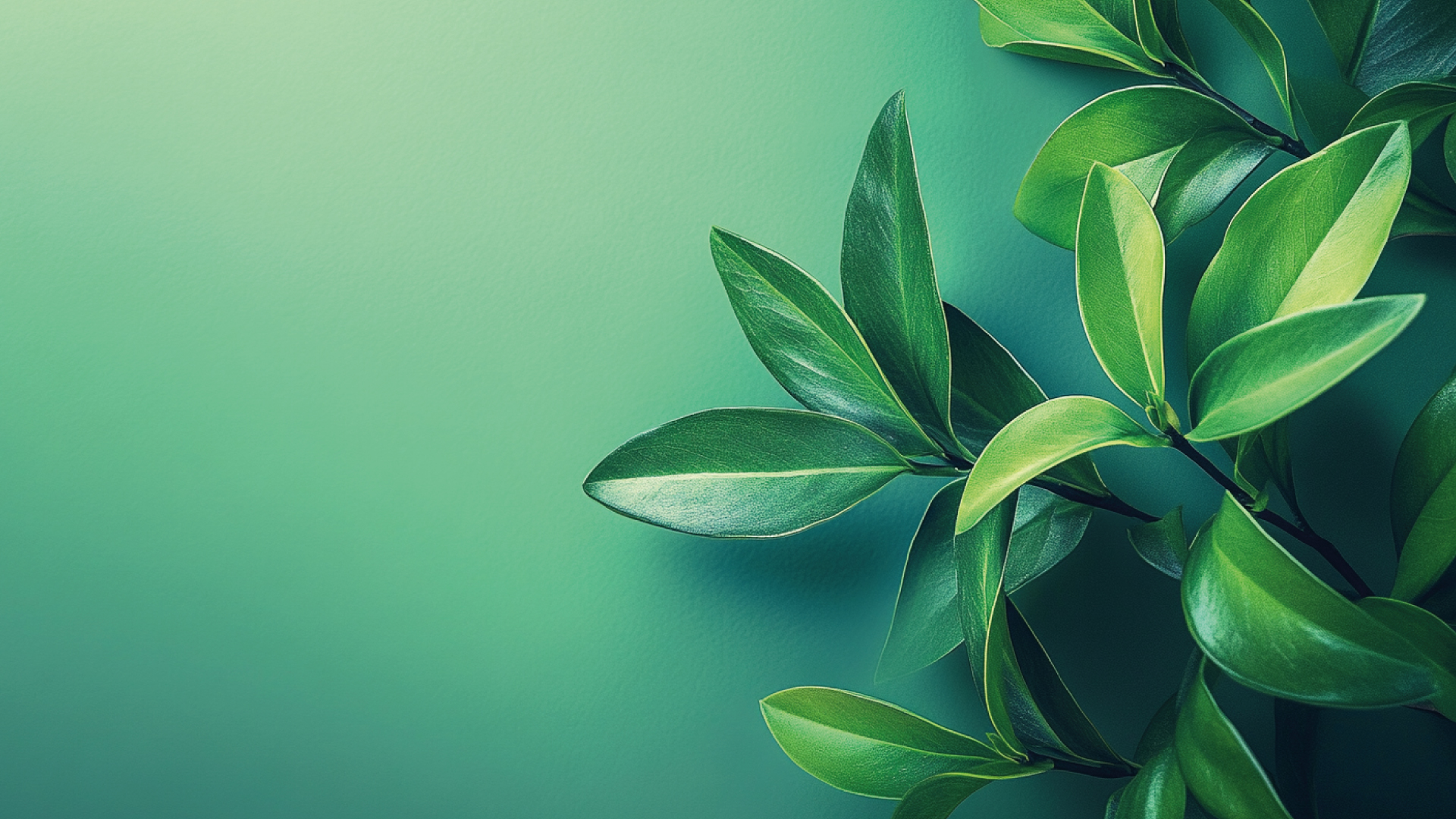 analyse de la couleur verte Logo Volleyball, Adobe Illustrator, création de logo professionnel ComeUp, logo pas cher, logo premium, mascotte, logotype, logo sur mesure, logo vector, vectorisation, création de logo, logo professionnel, mow-logo, ComeUp, ComeUp logo